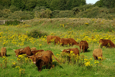 BUITEN BEELD Foto: 139947