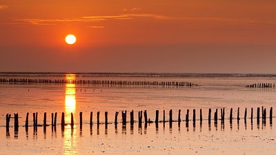 BUITEN BEELD Foto: 139960