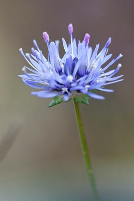 BUITEN BEELD Foto: 139965