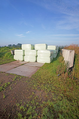 BUITEN BEELD Foto: 139976