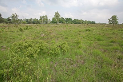 BUITEN BEELD Foto: 139981