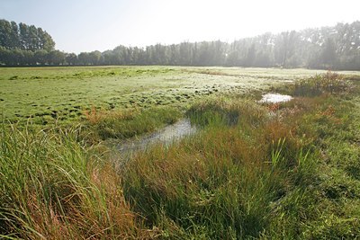 BUITEN BEELD Foto: 139990