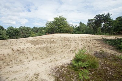 BUITEN BEELD Foto: 139993