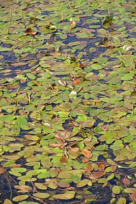 BUITEN BEELD Foto: 140002