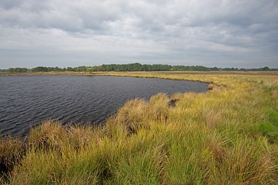 BUITEN BEELD Foto: 140007