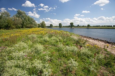 BUITEN BEELD Foto: 140011