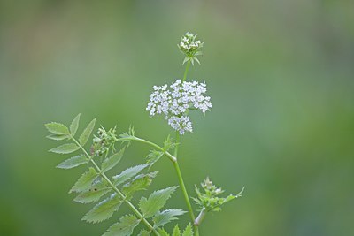 BUITEN BEELD Foto: 140018