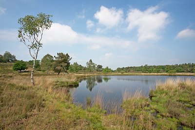 BUITEN BEELD Foto: 140026