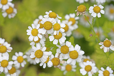 BUITEN BEELD Foto: 140042