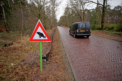 BUITEN BEELD Foto: 140051