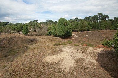 BUITEN BEELD Foto: 140055