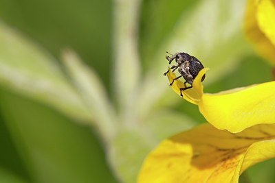 BUITEN BEELD Foto: 140065