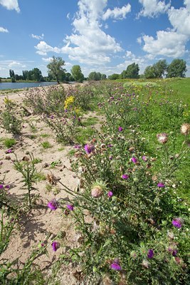 BUITEN BEELD Foto: 140089