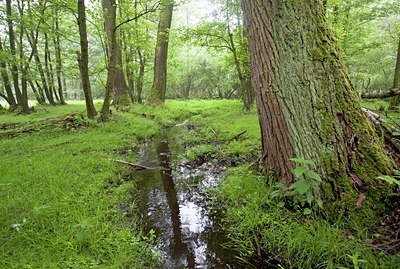 BUITEN BEELD Foto: 140096