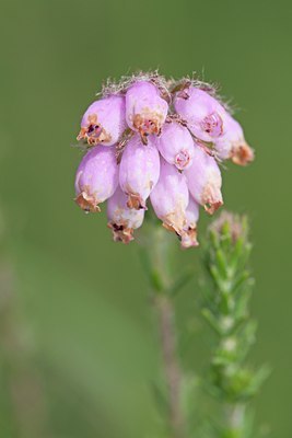 BUITEN BEELD Foto: 140119