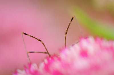 BUITEN BEELD Foto: 140167