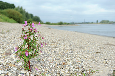 BUITEN BEELD Foto: 140226