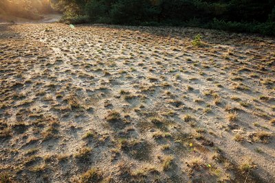 BUITEN BEELD Foto: 140238