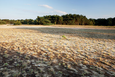BUITEN BEELD Foto: 140239