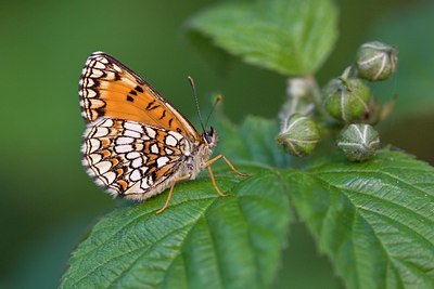 BUITEN BEELD Foto: 140262