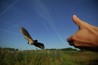 BUITEN BEELD Foto: 140321