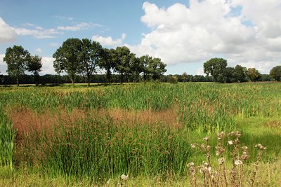 BUITEN BEELD Foto: 140344