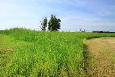 BUITEN BEELD Foto: 140351