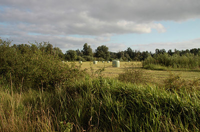 BUITEN BEELD Foto: 140355