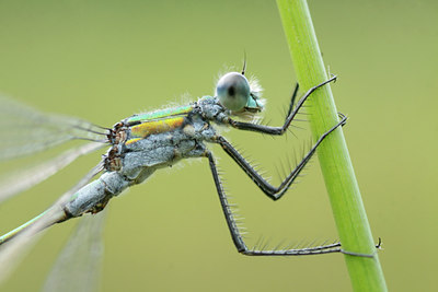 BUITEN BEELD Foto: 140359