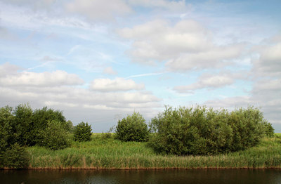 BUITEN BEELD Foto: 140362