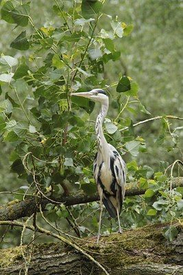 BUITEN BEELD Foto: 140371