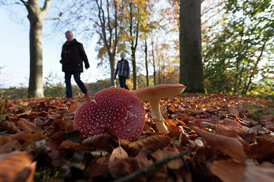 BUITEN BEELD Foto: 140375