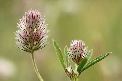 BUITEN BEELD Foto: 140387