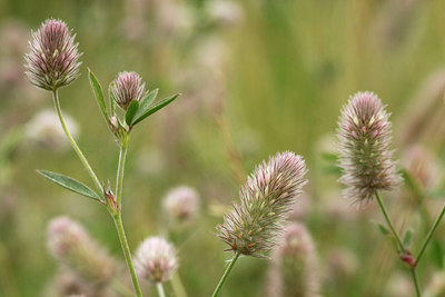 BUITEN BEELD Foto: 140388