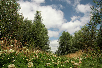 BUITEN BEELD Foto: 140390