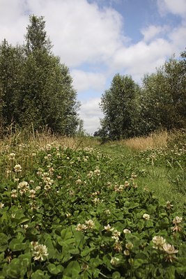 BUITEN BEELD Foto: 140391