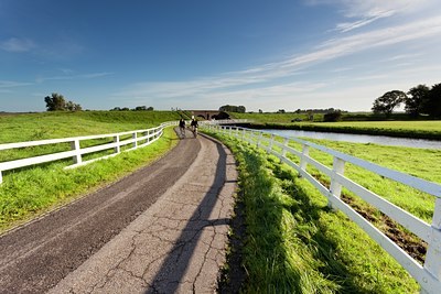 BUITEN BEELD Foto: 140525