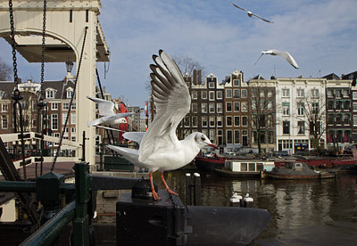 BUITEN BEELD Foto: 140586