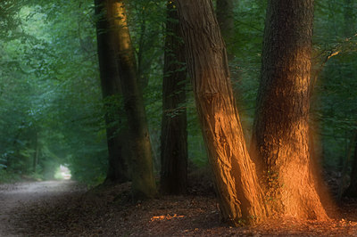 BUITEN BEELD Foto: 140693