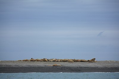 BUITEN BEELD Foto: 140714
