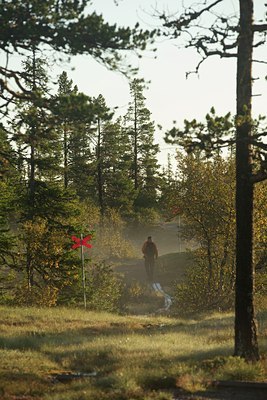 BUITEN BEELD Foto: 140732