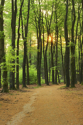 BUITEN BEELD Foto: 140769