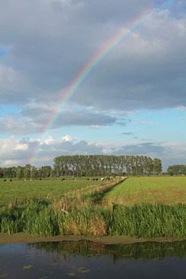 BUITEN BEELD Foto: 140783