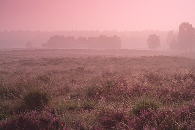 BUITEN BEELD Foto: 140785