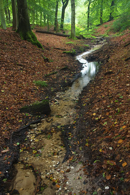 BUITEN BEELD Foto: 140794