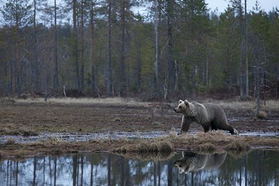 BUITEN BEELD Foto: 140835