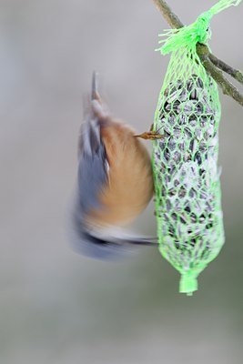 BUITEN BEELD Foto: 140933