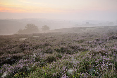 BUITEN BEELD Foto: 140990