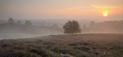 BUITEN BEELD Foto: 140991