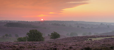 BUITEN BEELD Foto: 140997